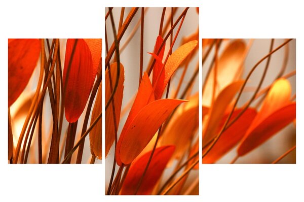 Slika cvijetnih latica (90x60 cm)
