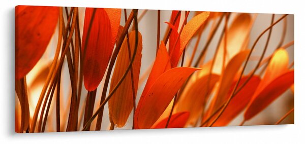 Slika cvijetnih latica (120x50 cm)