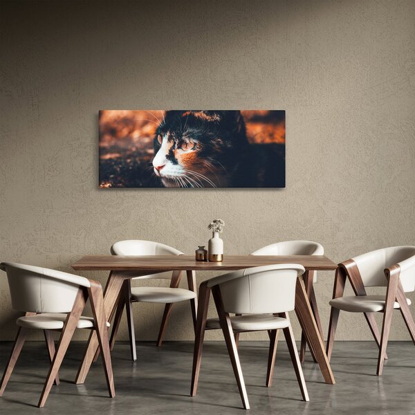 Slika - Pogled mačke (120x50 cm)