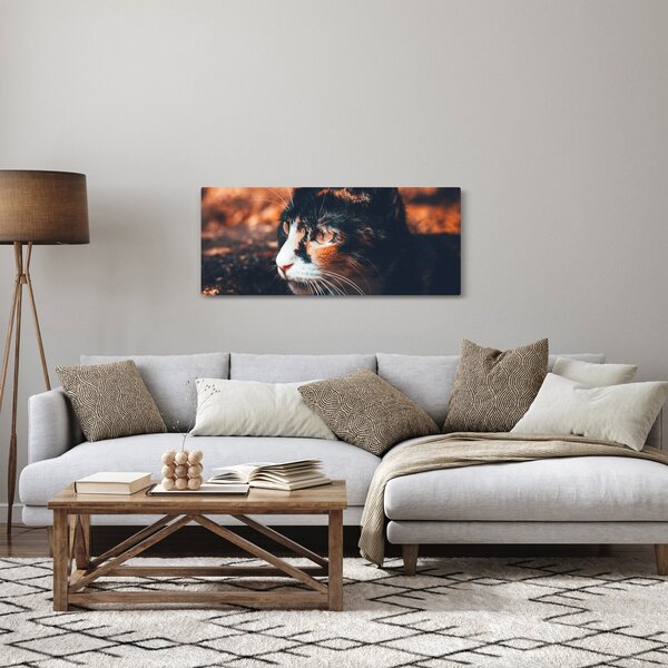 Slika - Pogled mačke (120x50 cm)