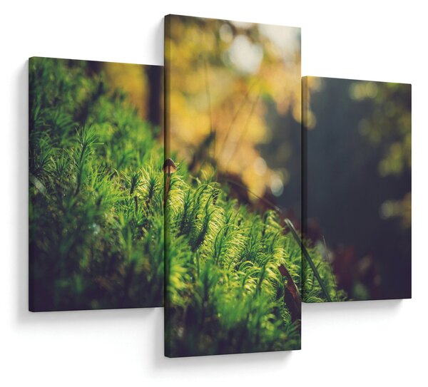 Slika mahovine sa gljivom (90x60 cm)