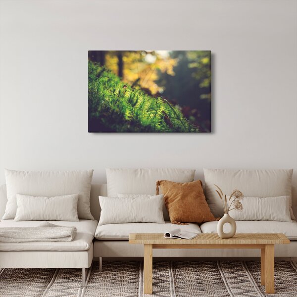 Slika mahovine sa gljivom (90x60 cm)