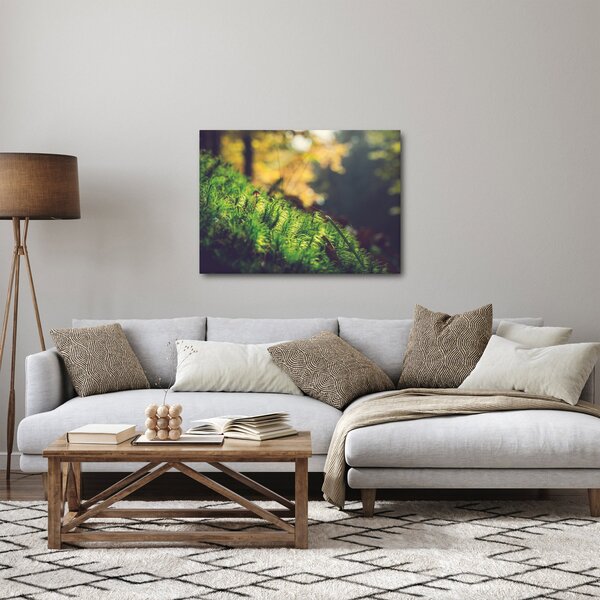 Slika mahovine sa gljivom (70x50 cm)