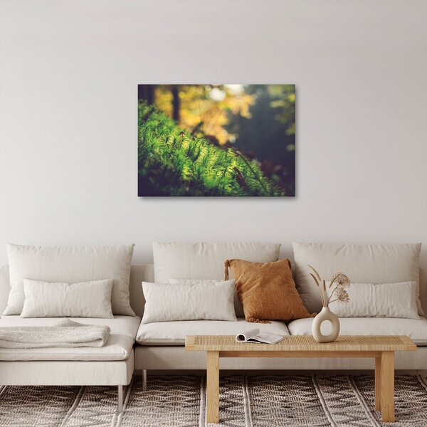 Slika mahovine sa gljivom (70x50 cm)