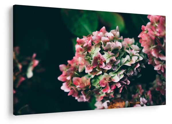 Slika - Detalj hortenzije (90x60 cm)