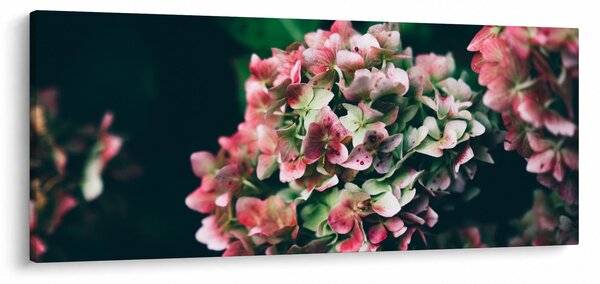 Slika - Detalj hortenzije (120x50 cm)