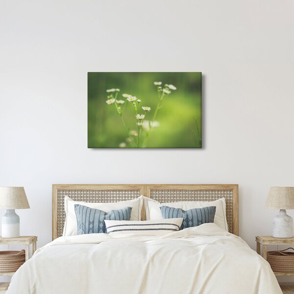 Slika Tratinčice (90x60 cm)