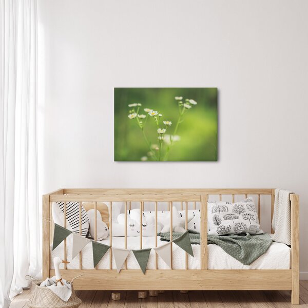 Slika Tratinčice (70x50 cm)