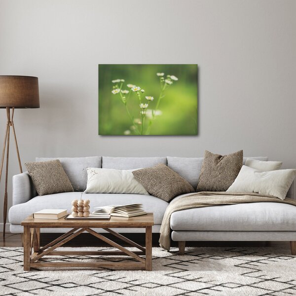 Slika Tratinčice (70x50 cm)