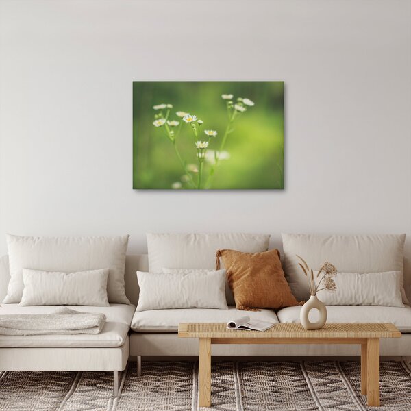 Slika Tratinčice (70x50 cm)