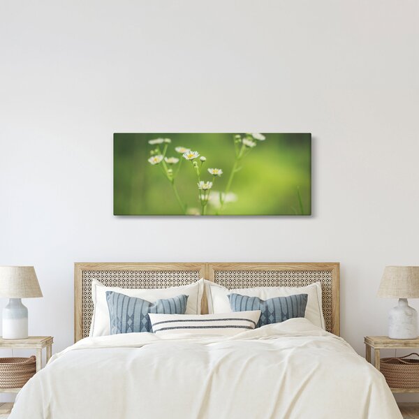 Slika Tratinčice (120x50 cm)