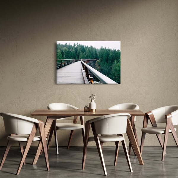 Slika - Most do vrhova drveća (90x60 cm)
