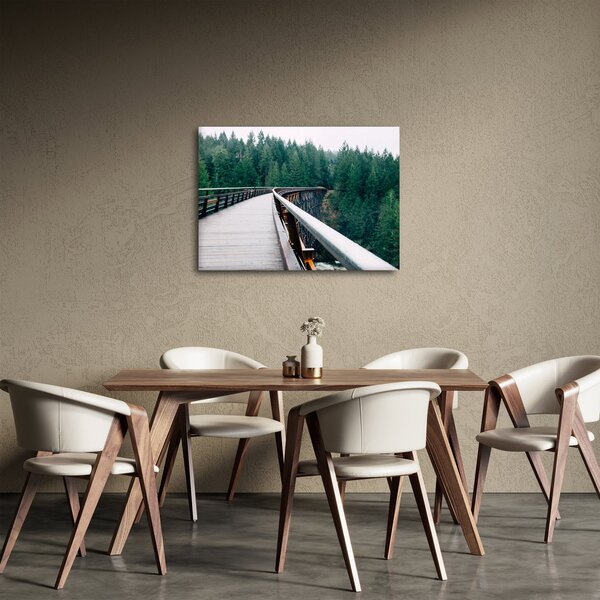 Slika - Most do vrhova drveća (70x50 cm)