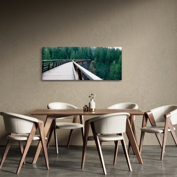 Slika - Most do vrhova drveća (120x50 cm)