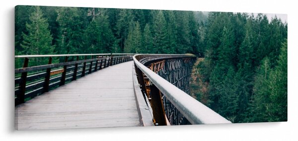 Slika - Most do vrhova drveća (120x50 cm)