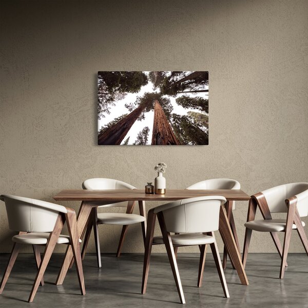 Slika - Pogled kroz krošnje stabala (90x60 cm)