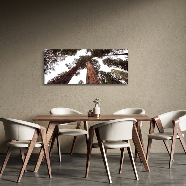 Slika - Pogled kroz krošnje stabala (120x50 cm)