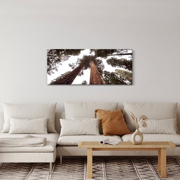 Slika - Pogled kroz krošnje stabala (120x50 cm)