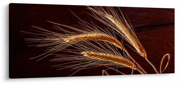 Slika - Detalj klasa raži (120x50 cm)