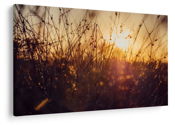Slika polja pri zalasku sunca (90x60 cm)