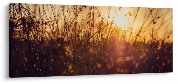 Slika polja pri zalasku sunca (120x50 cm)