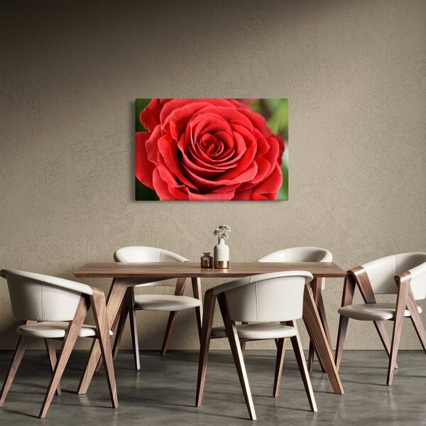 Slika cvijeta ruže (90x60 cm)