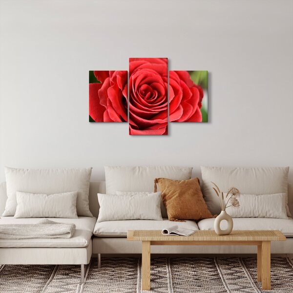 Slika cvijeta ruže (90x60 cm)