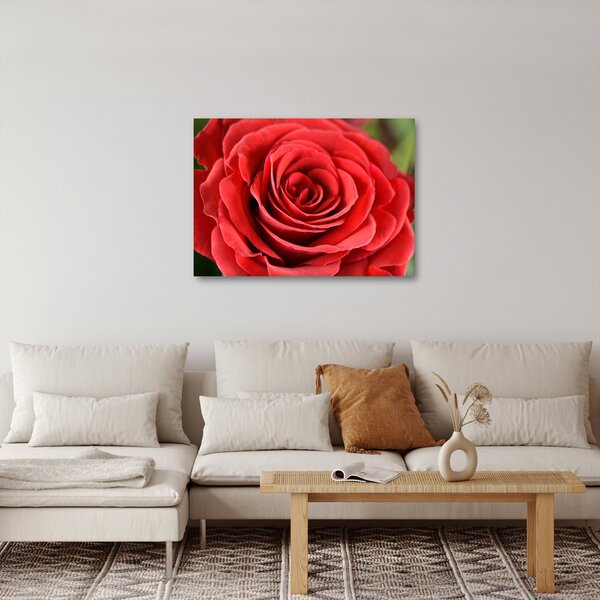 Slika cvijeta ruže (70x50 cm)