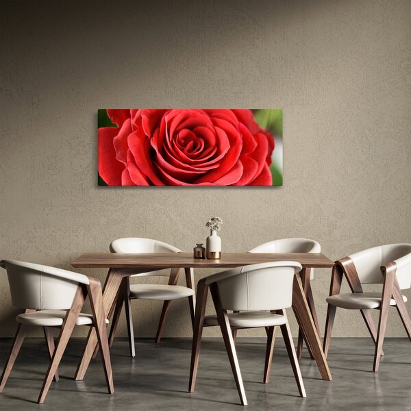 Slika cvijeta ruže (120x50 cm)