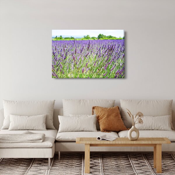 Slika polja s lavandom (90x60 cm)