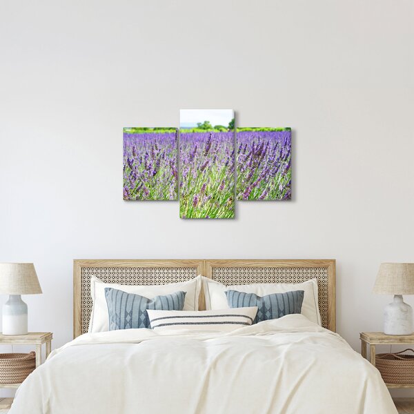 Slika polja s lavandom (90x60 cm)