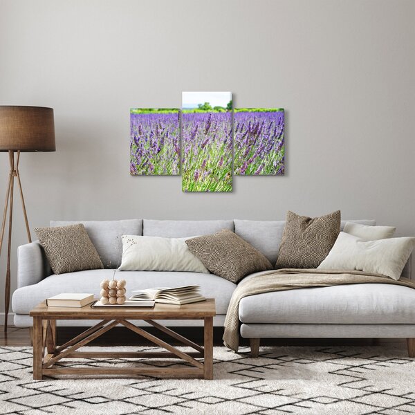 Slika polja s lavandom (90x60 cm)