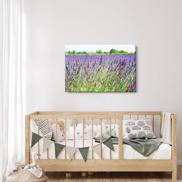 Slika polja s lavandom (90x60 cm)
