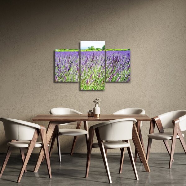 Slika polja s lavandom (90x60 cm)