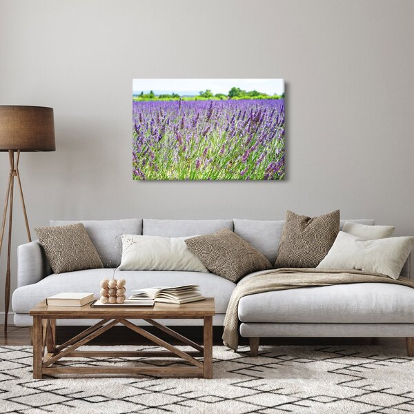 Slika polja s lavandom (90x60 cm)
