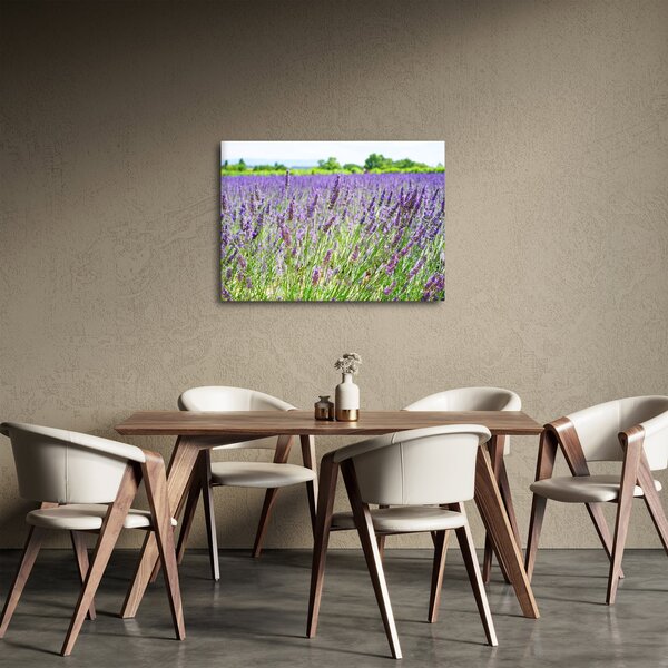 Slika polja s lavandom (70x50 cm)