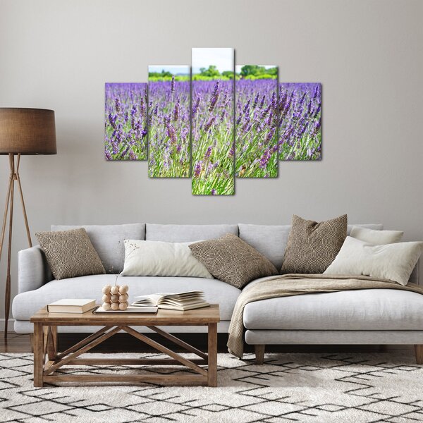 Slika polja s lavandom (150x105 cm)