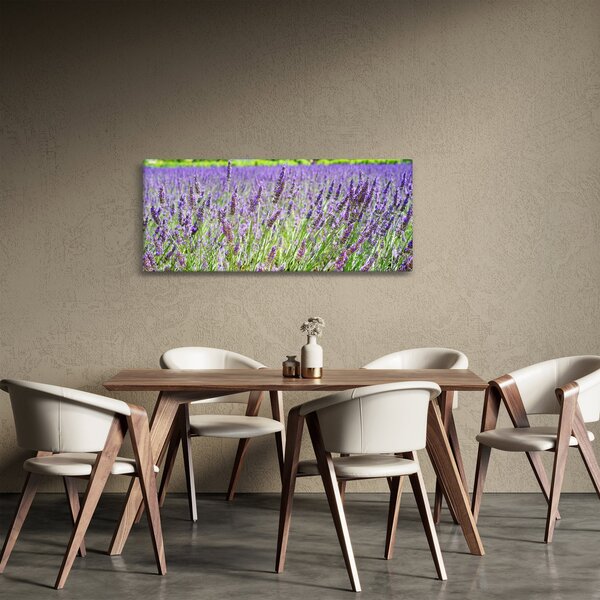 Slika polja s lavandom (120x50 cm)