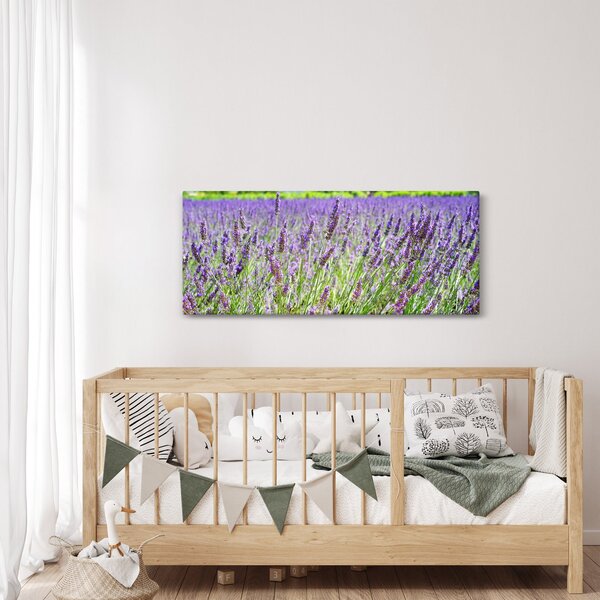 Slika polja s lavandom (120x50 cm)
