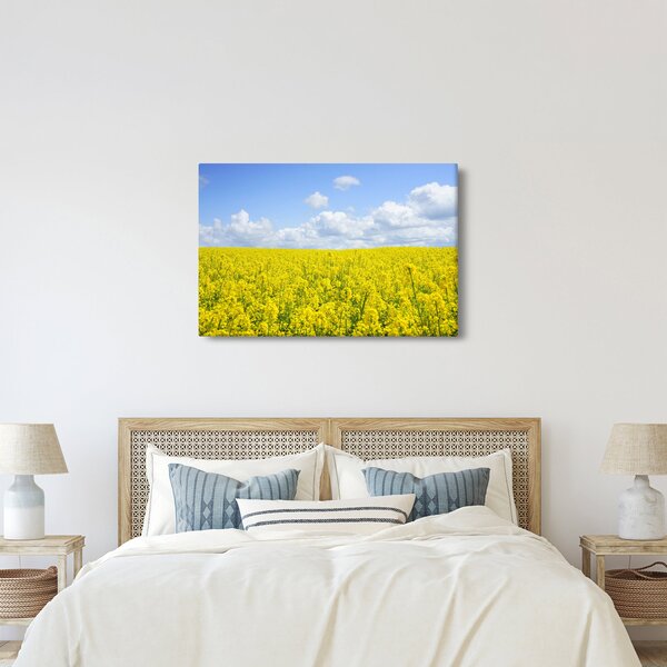 Slika žutog polja (90x60 cm)