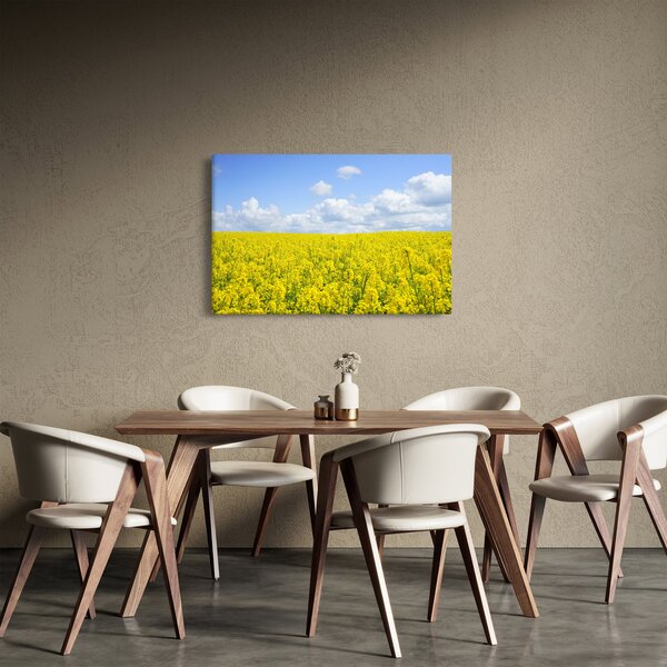 Slika žutog polja (90x60 cm)