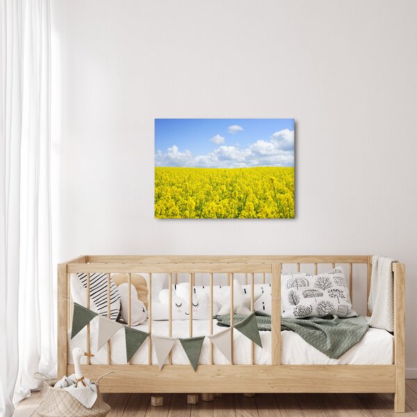 Slika žutog polja (70x50 cm)