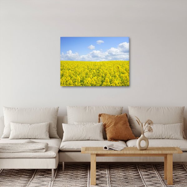 Slika žutog polja (70x50 cm)