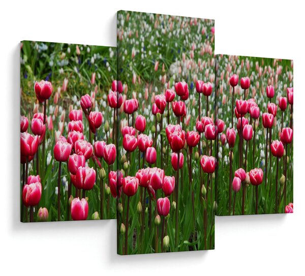 Slika tulipana (90x60 cm)