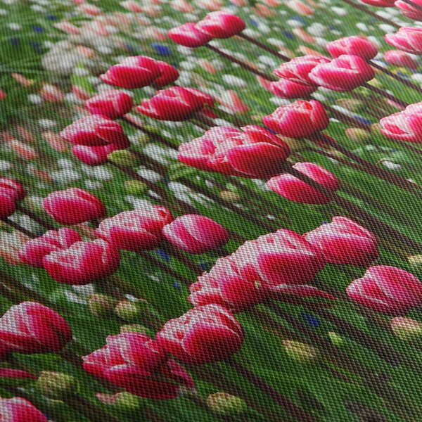 Slika tulipana (70x50 cm)