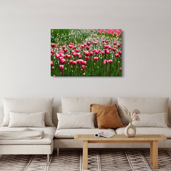 Slika tulipana (90x60 cm)