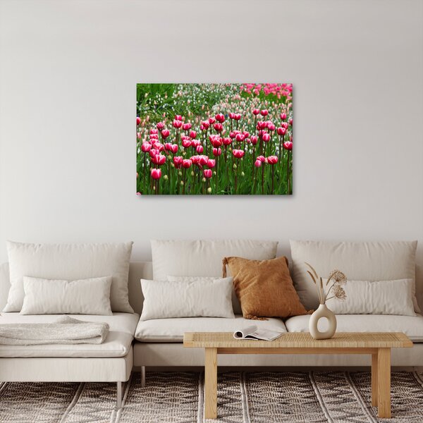 Slika tulipana (70x50 cm)