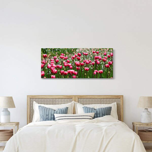 Slika tulipana (120x50 cm)