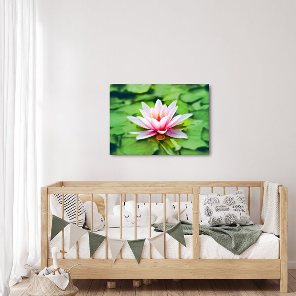 Slika lokvanja na vodenoj površini (70x50 cm)