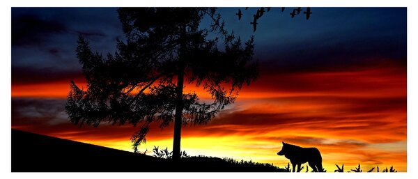 Slika - Silueta vuka (120x50 cm)